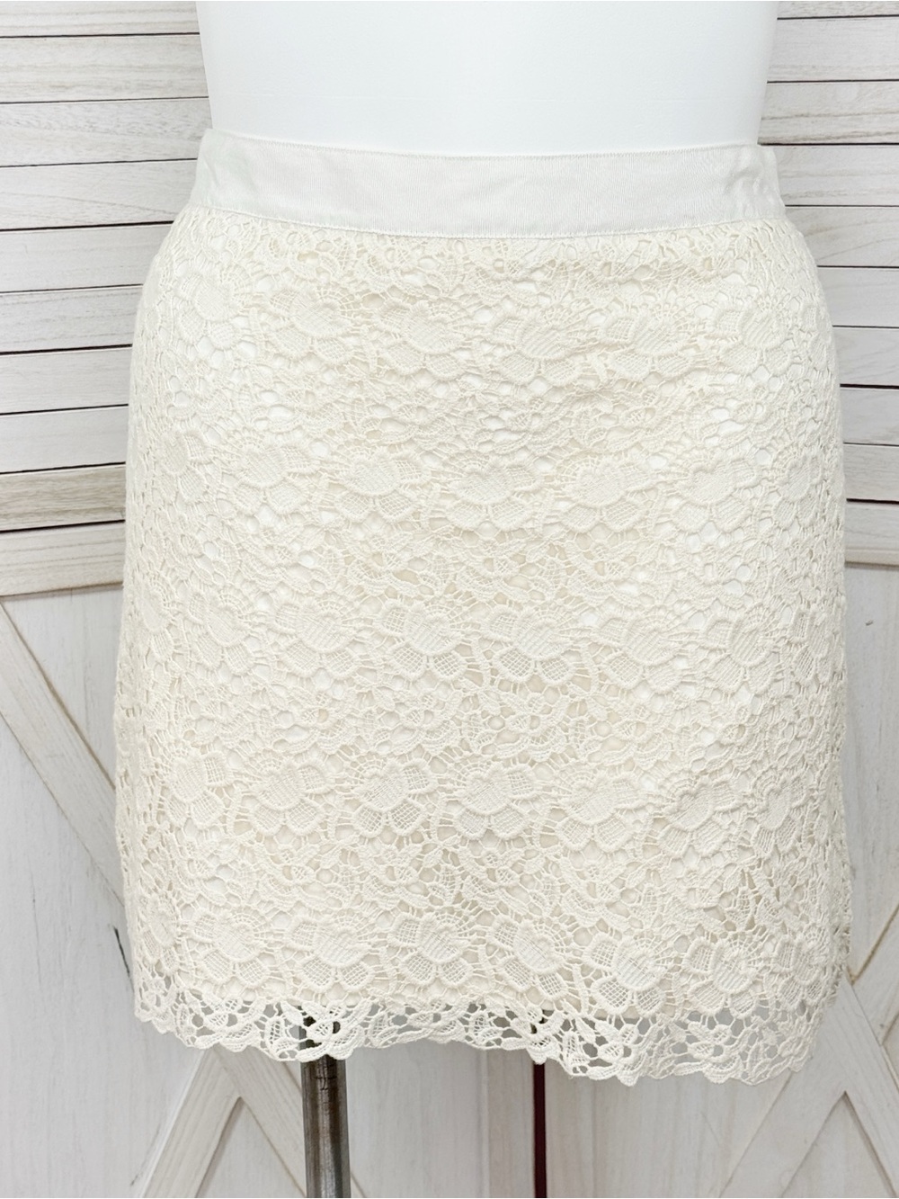Loft Floral Lace A Line Pencil Skirt Ivory‎ Cream 12 Petite Feminine Coquette